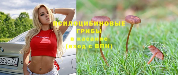 стафф Верхнеуральск