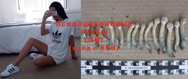 стафф Верхнеуральск