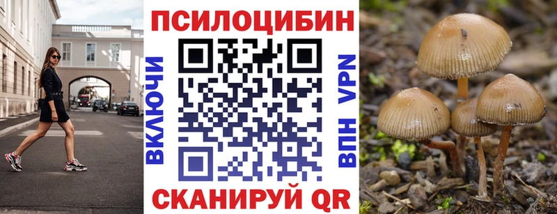 Галлюциногенные грибы мухоморы  Купить где  Макаров 